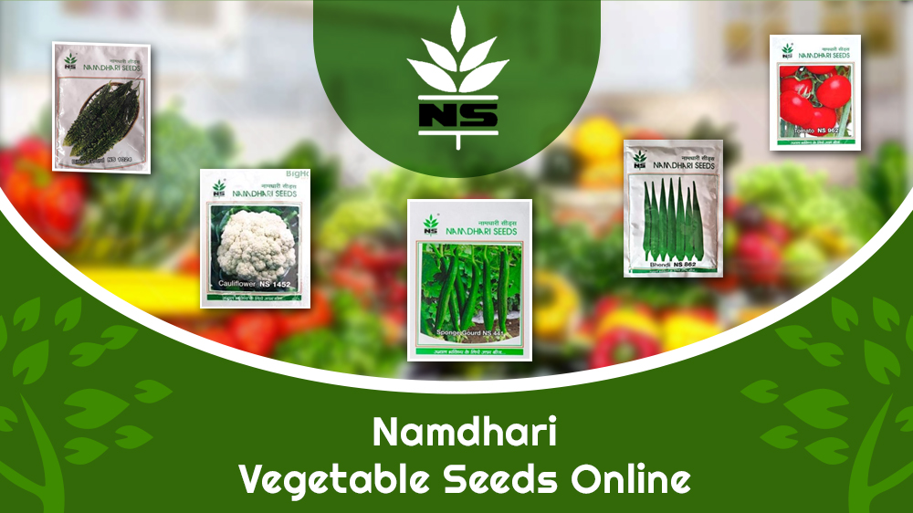 Namdhari
Vegetable Seeds Online