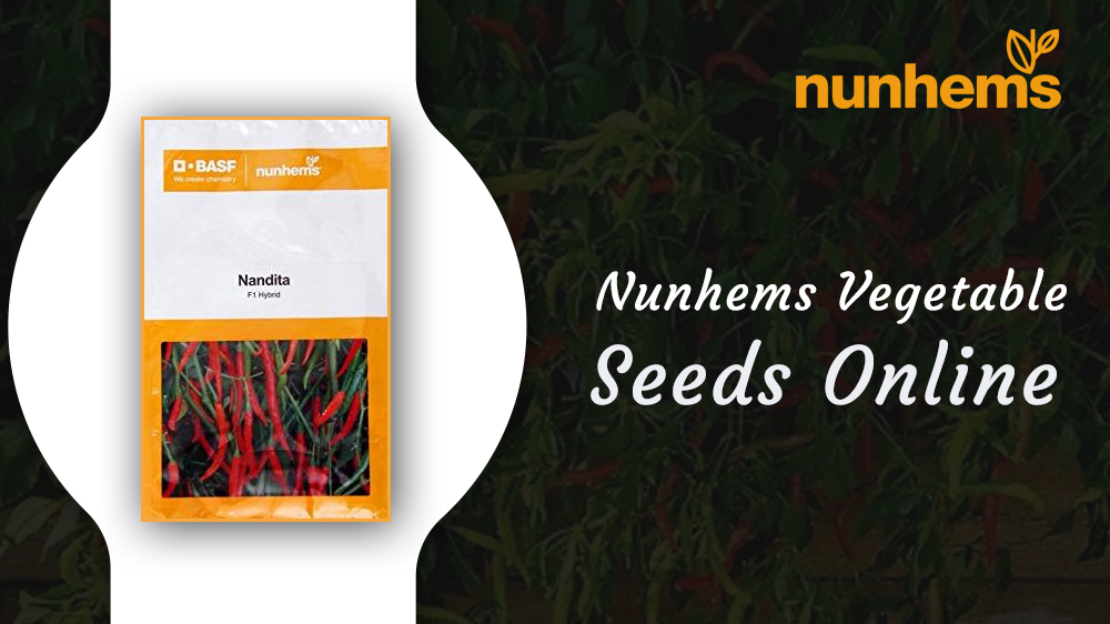 nunhems

Nunhems Vegetable

Seeds Online