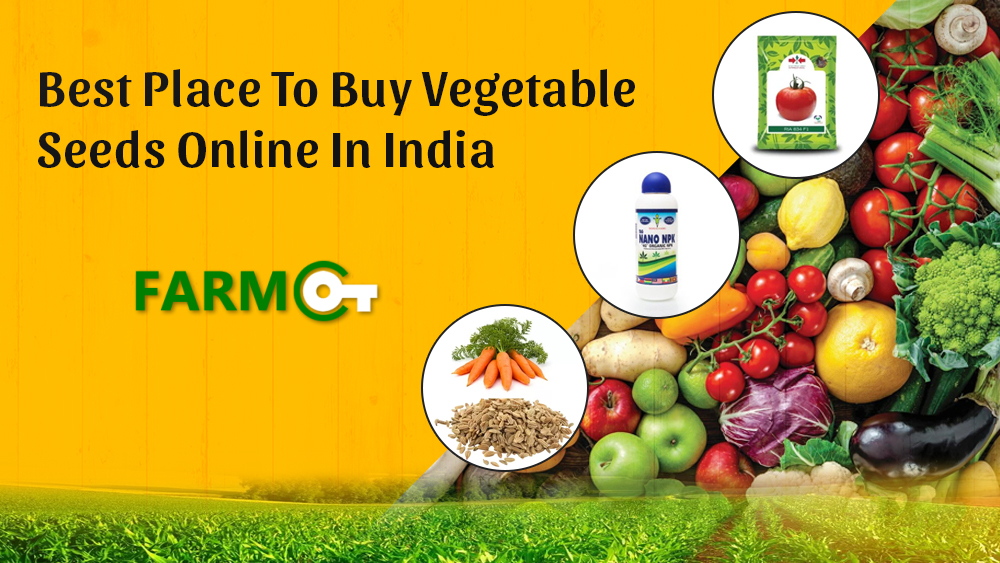 Best Place To Buy Vegetable
Seeds Online In India