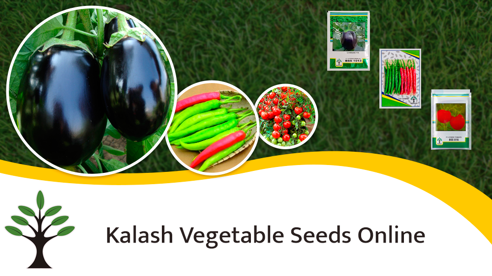 ¥ Kalash Vegetable Seeds Online