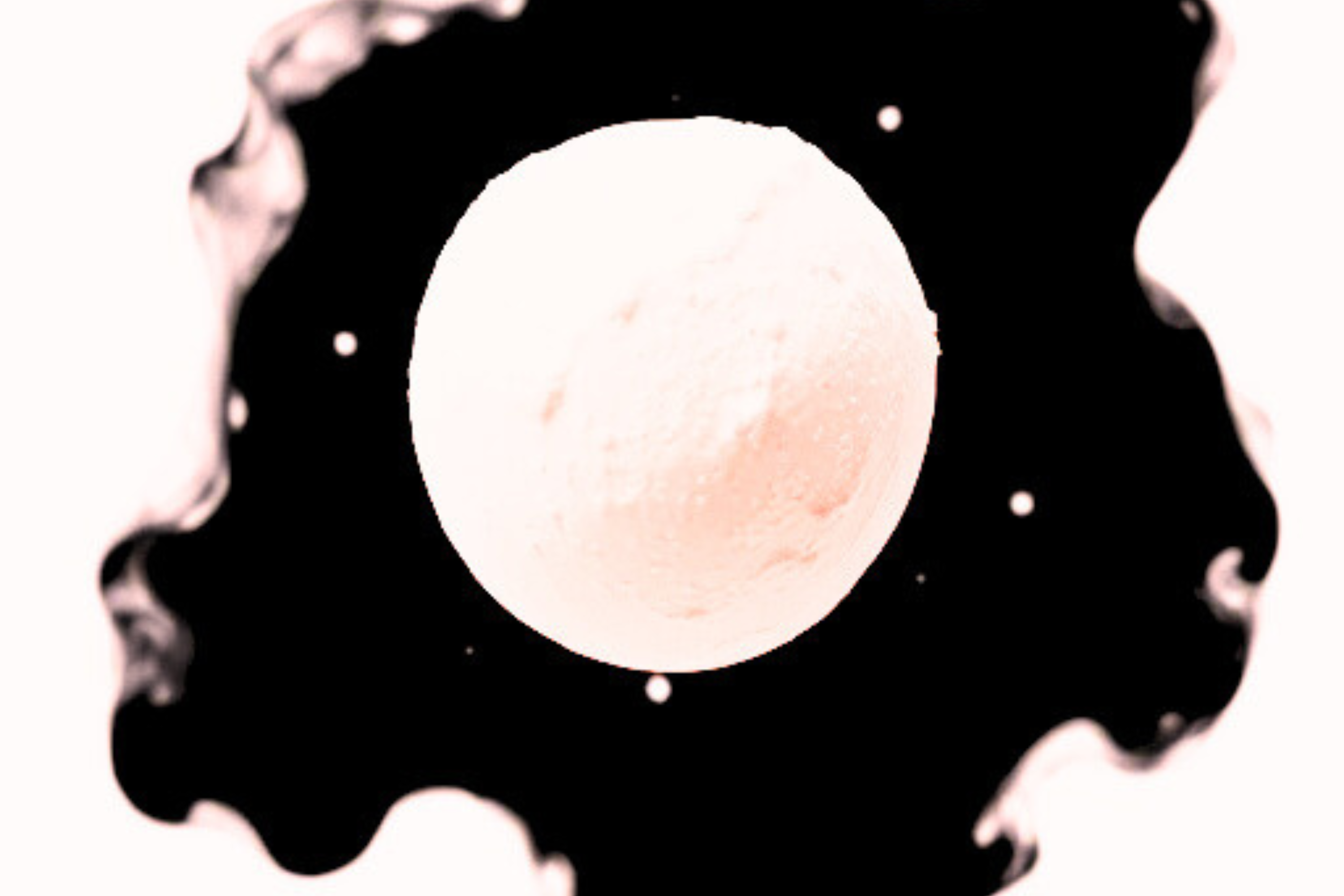 55XHi.png