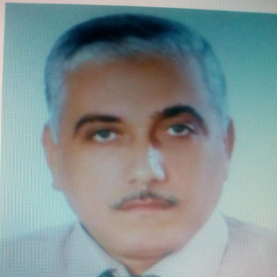 Tarek Talaat Mohamed Aly