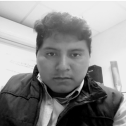 Luis Adrian Peralta lopez