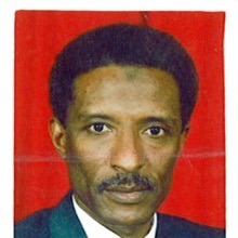 Gamal Eldin Ibrahim