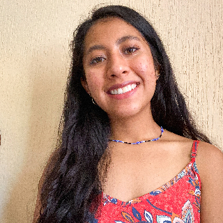 Frida Villarreal