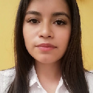 Verónica Lizeth Sosa Flores