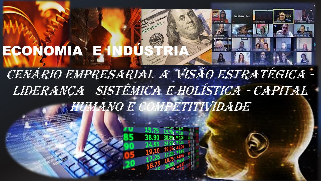 CENA RIO EMPRESA RIAL A WV Sa 0. ESTRA TEGICA -
LIDERANCA SISTEMICE E. Fo CAPITAL *