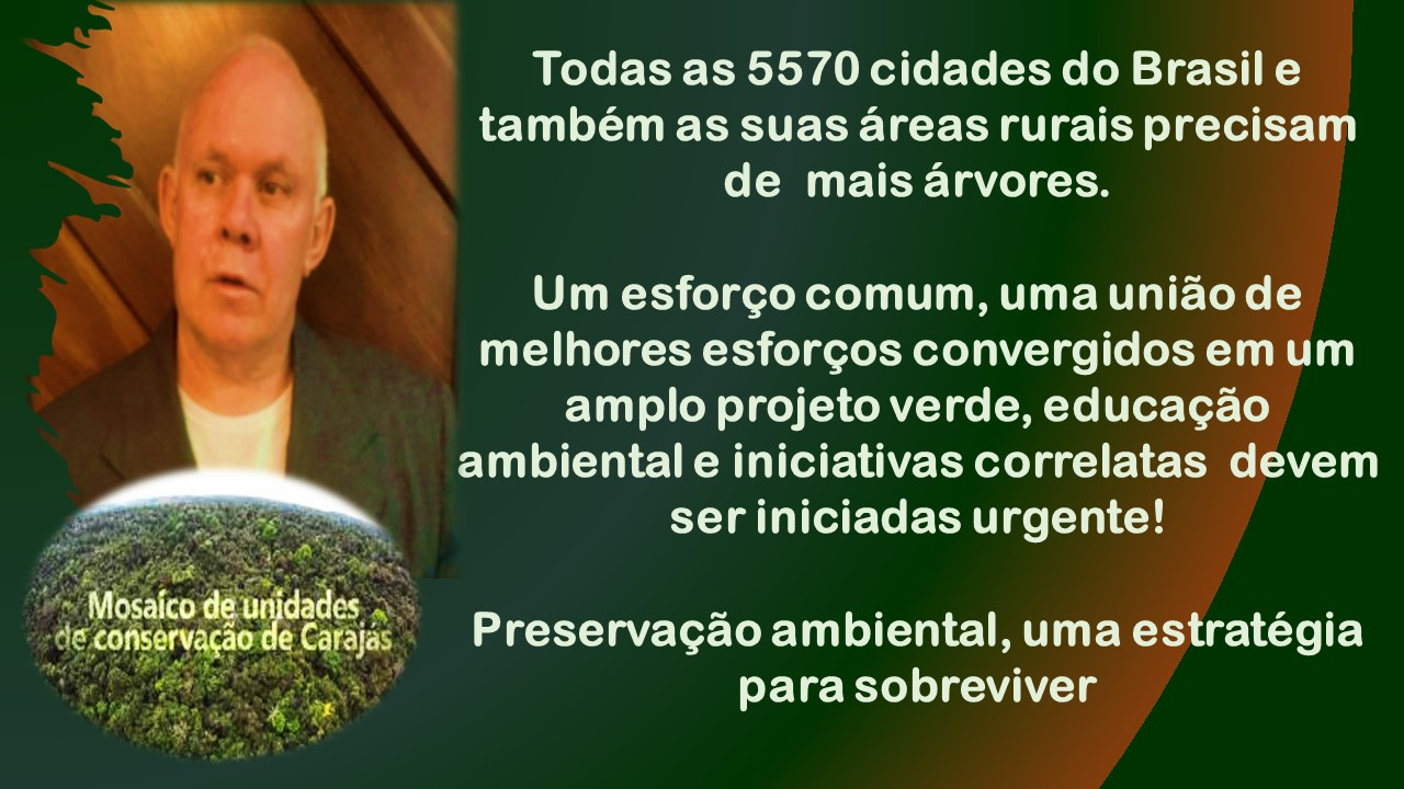 Todas as 6570 cidades do Brasil e
também as suas areas rurais precisam
de mais arvores.

Um esforgo comum, uma uniaode
melhores esforgos convergidos em um
amplo projeto verde, educagao
ambiental e iniciativas correlatas devem
ser iniciadas urgente!

Preservagao ambiental, uma estratégia
parasobreviver