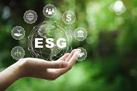 ESG: o que é, como funciona, vantagens e características - TOTVS - ®

.®

yoy
m