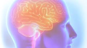 Como aproveitar a neurociência para viver melhor, segundo uma cientista |  CNN Brasil