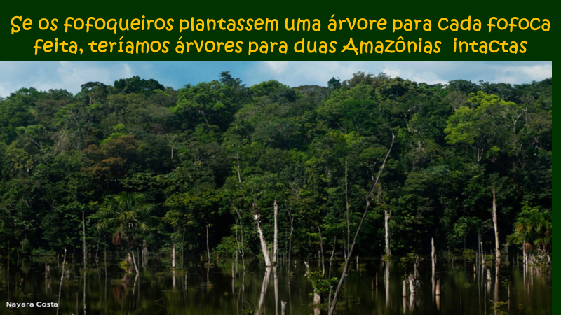 Se os fofoqueiros plantassem uma arvore para Cada fFOfOCa
feita, teriamos arvores para duas Amazonias intactas