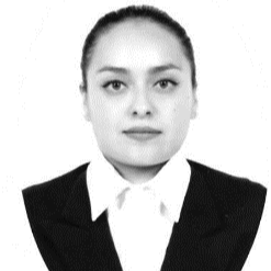 Itzel Amairani Chávez Delgado