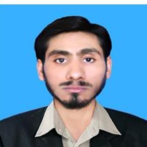 Syed Muhammad Ali Naqvi