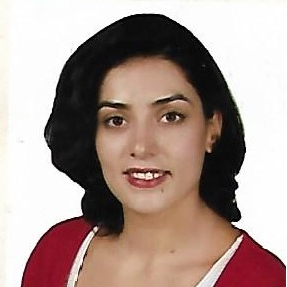 Amina Jamalaldine