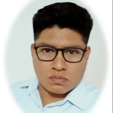 Luis David Domínguez Díaz