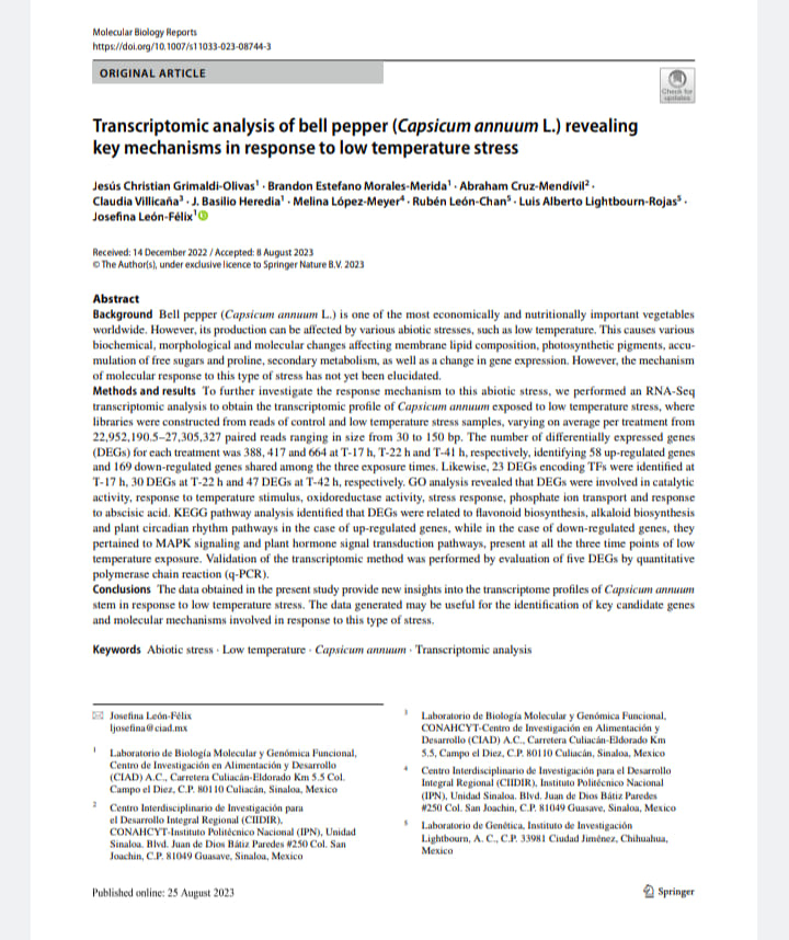 i by rs
Peo EIN 43 0
me 2
Transcriptomic analysis of bell pepper (Capsicum annuum L.) revealing
key mechanisms in response to low temperature stress.
vis Christian Gems Otten’ Brancion Estefan Moses Moda” Abcam Crp Mar diet”
Chiu Viicada J Basie Moved’ Mads Lopes Meyer Min Lode Can’ Lu Alberto Ligh thon Ropar”
Jovan Lote. bot 'O
mnt 4 Coat 113 / Aad pe 323)
a ar wo a as Sg wa £3 28
Avswract
Bachgrowad Bei perp (Copeicemn amar L) 1 cut of the mont ecaricaly sm srk analy bmporcaet vegtesbdes
meibuide, Voom. 1 prom com be £105 by var oct wc. wh in bo mpm. This css var
Ram hog me bi Cho rs ef mR bpd Gn, ft AN pm
mcition of fr ssp tnd prods, socaniary musebeiem, 1 we an 4 change 3 pr xpeesnin. Nowree, Ge machisber
of mec reo 1 i type of rcs bas ox yt ee cosibmed.
Mathes 008 ermtts To furs Lome ace he response mechanics to (8s dice ies, we peskormed os KNA- Seq
mr mab Cm mn Rr of Cog om nd 1m me Sn. we
brates wise comiraed fra ab of RT 6d bm MC SE wp, YH 5 C5 CTE me fren
22952.196.3-27.069.127 pains rents amgng 2 sre from 30 10 155 by. The sums of di Seresnally prema grees
(DUGG) fo mh raiment wan 190417 and 064 0 717, 225 md 7-41. segevtly. sheen $4 peepee poms
md 169 dws pubs rns ured mmng he bree x pom Gomes. Likewise. 2) OF Go oma Th ware bbs
17M J008G0 0 7-225 wd 67 080s T-42 . ragewtivdy GC) anaiysa resid hae D100 wo vd fm consi
pe
So ci ac KEG potiry yi bons hd us DEG ware ead so mond Sicwyeshesi, dado csywchests
md pn cram rhyhs pis Co can of ap-cvekmed pres. =e 1 the cane of Gwe pbiasd genes. Bey
rane 9 MAPK + gaan tnd itt rms oo ntsc pcm. prone o 4 he thee time peta of bow
Armperacart enganart Vel ditcm of a creme mrad ws pera mnd vba of re DECa by gma re
Prs————
Comdbunsms The di coum 2 he proecm cny vm rw shes wt roma rmwt vn ch Coin wm mn
1 3 vpn 0 how temperate sess The dts generennd my avefel bow the bmsbcaon of Vey comdudns genes
am mL mesa vm ved rapa 2 rye of oe
Kayo Abst sess Low sparse Copa sms Toner guomi smbyss
“tn Lap
[rete
Lin Bat 4 Mtr 3 Gras Fon
Con 5 ap 0 Amt 1 Derr
CLAD) AC. Come Cute Svea Ko 4.3 Co.
Cun Cen © 4 Cota, Sm. Mesa
La e—
4 Crm ed Rago CXR
COMAMCYY dns Pion Nom (9%, Lk
oni $1 J de Dom i Pn 19 Cl.
Sambo C7 4006 Gui, Sinn. Mas
Pav ed: 39 Ace 32
Lier 31 Bags Won si mn Pama
(CONARCYT Come ds Vangie of Amt
Crm CAD, ALC. Corrs Cte Shas Lo
15 Com 6 nC 9 Coc, Sm. Mavi
Corn rs Leg pr Denes
Bsmt, TLL to, Pome Mn
TN id St Bo hs Dom Bis Pon
FS Ca. hm hm, C3 1% Co Sh Mi
JP —
apna, A CCP 19001 Coat on, Cosshon.
[on
Dre