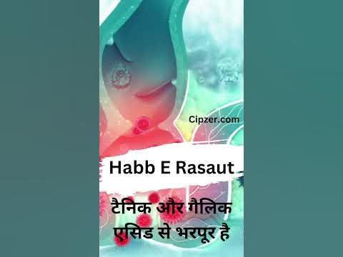 Habb E Rasaut