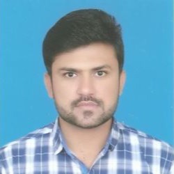 Waleed Bashir