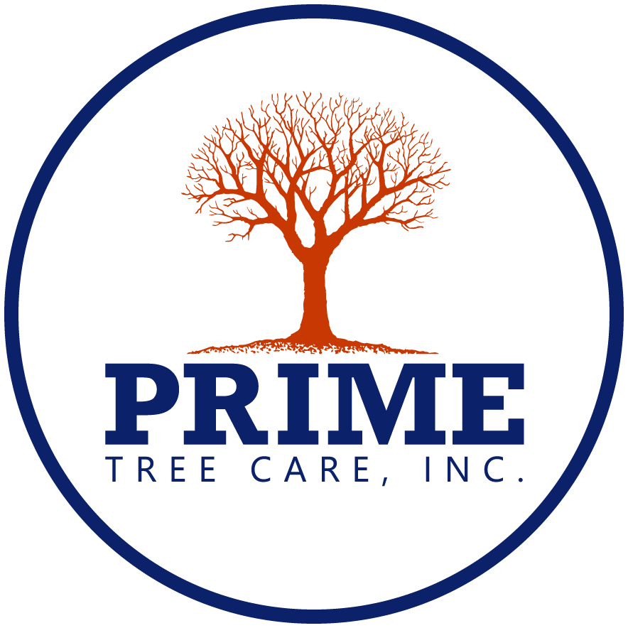 TREE CARE, INC.