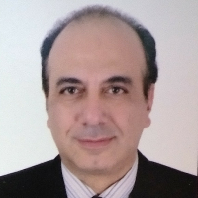 Ayman Ghoneim