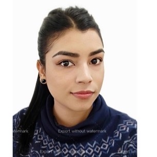 Wendy Lorena Toro Graciano