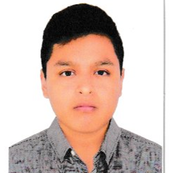 Misael Andre Torres Espinoza