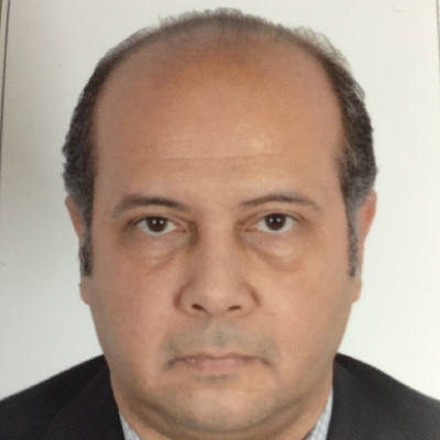 Yasser Elhamamsy