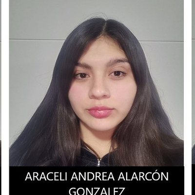 Araceli Alarcon