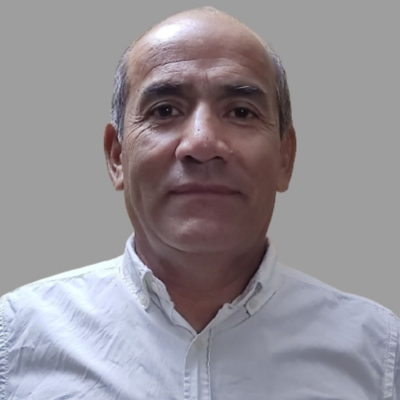 Raúl Domínguez Silva
