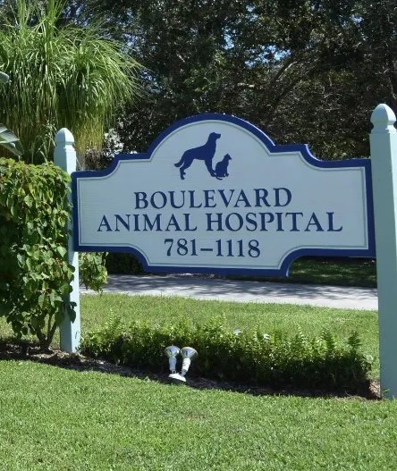 BOULEVARD

ANIMAL HOSPITAL
; 781-1118