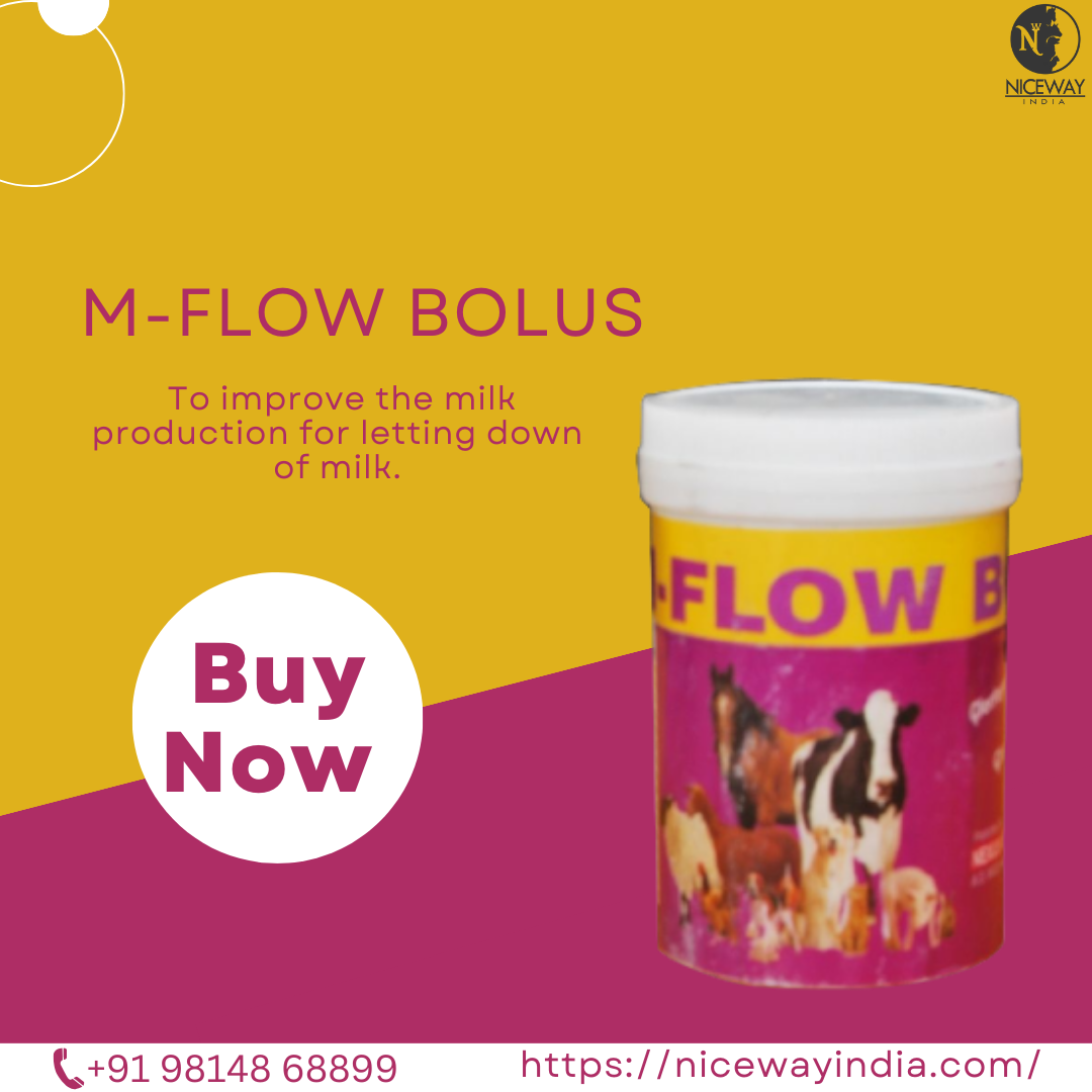 NICEWAY

M-FLOW BOLUS

To improve the milk
production for letting down
of milk.

 
    
  

Buy
Now

   

£.+91 98148 68899 https://nicewayindia.com/