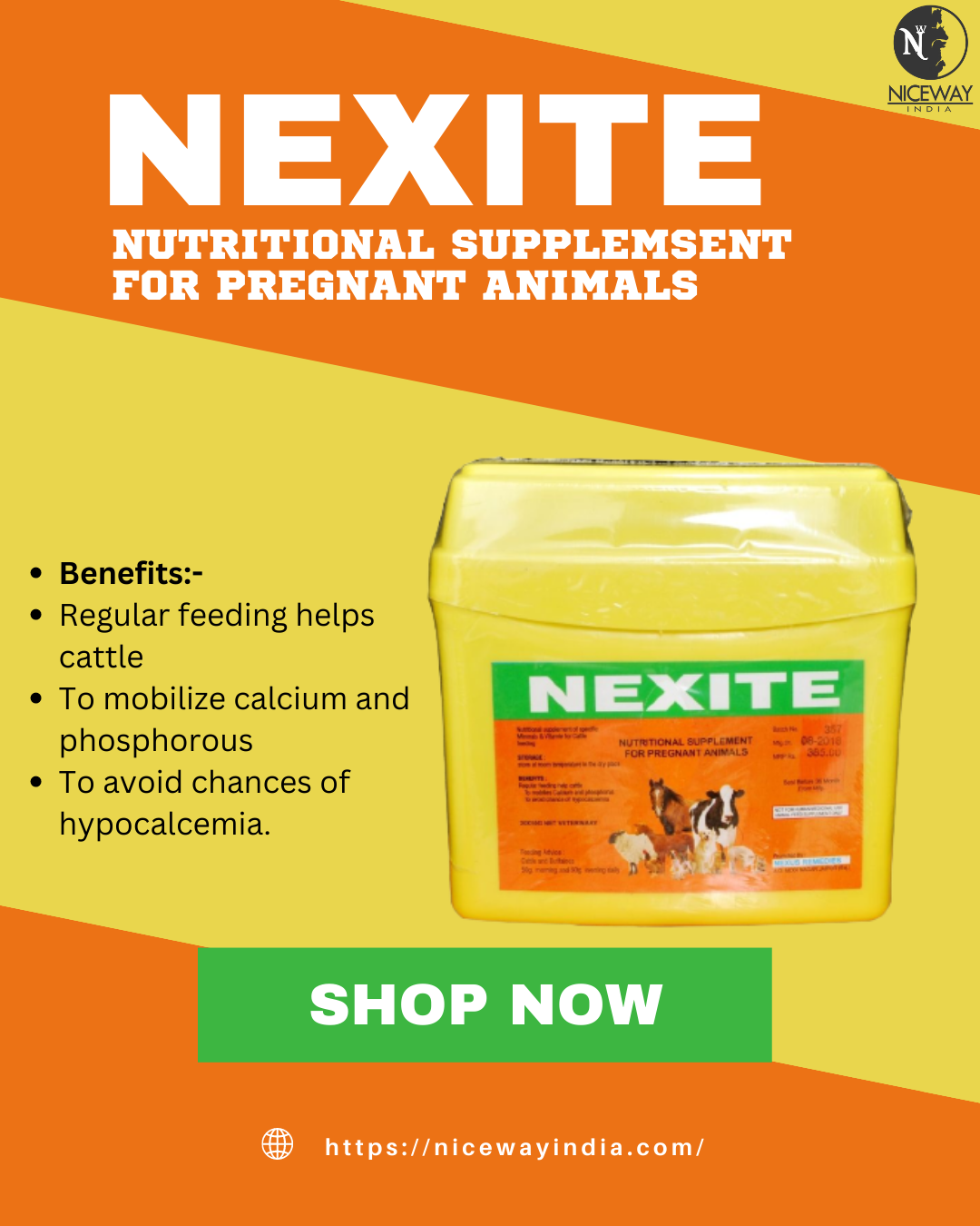 NEXITE

NUTRITIONAL SUPPLEMSENT
FOR PREGNANT ANIMALS

Benefits:-

Regular feeding helps
cattle

To mobilize calcium and
phosphorous

To avoid chances of
hypocalcemia.

  

SHOP NOW

fi https://nicewayindia.com/