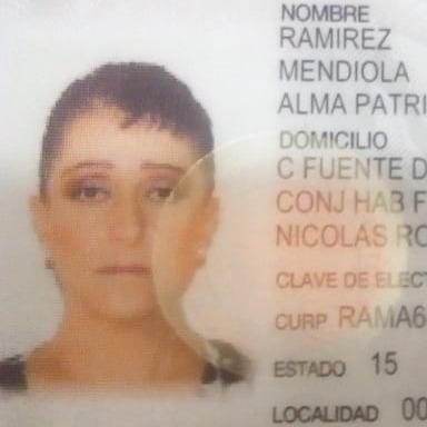 Alma Patricia Ramírez Mendiola