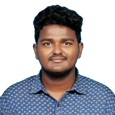 Parthasarathi V