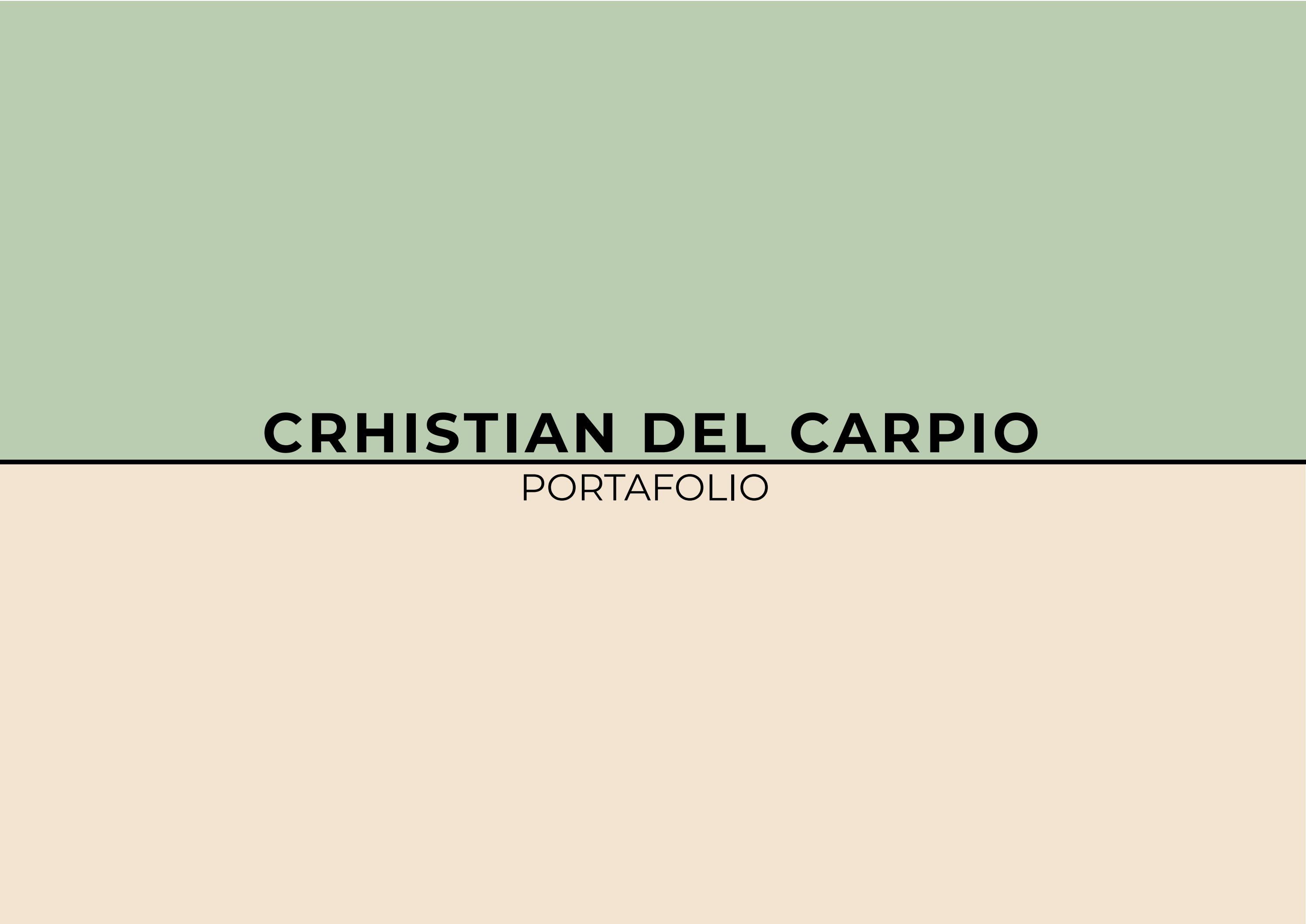 CRHISTIAN DEL CARPIO
PORTAFOLIO