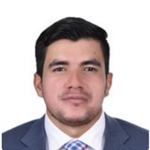 Jesus Andres Angarita Santis