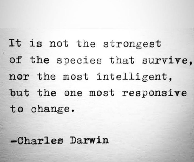 It is not the strongest

of the species that survive,
nor the most intelligent,
but the one most responsive
to change.

-
—~Charles Darwin