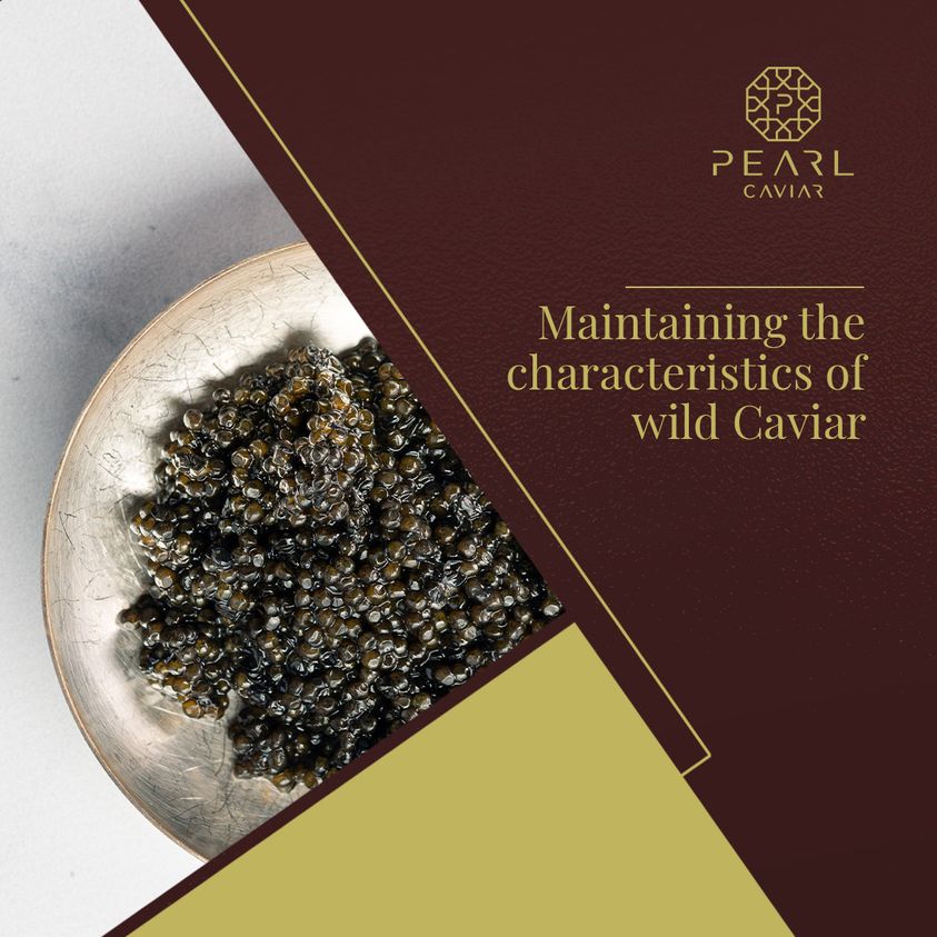oy

PEARL

CAVIAR

Maintaining the
characteristics of
wild Caviar