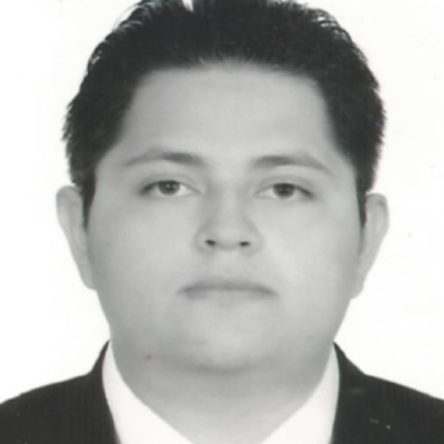 Guillermo Missael Toral Hernandez
