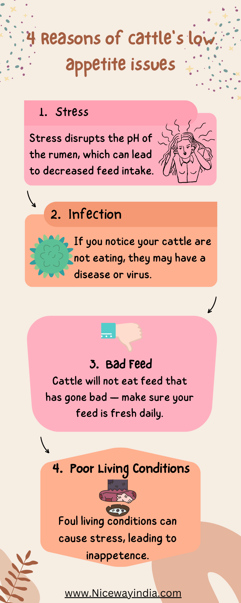 Y Reasons of cattle's low: :
:~.- appetite issues

1. Stress

Stress disrupts the pH of
the rumen, which can lead
to decreased feed intake.

 

2. Infection

" = “ If you notice your cattle are

v

3 < . “not eating, they may have a
Fe disease or virus.

5. Bad Feed
Cattle will not eat feed that
has gone bad — make sure your
feed is fresh daily.

\

4. Poor Living Conditions

<r

Foul living conditions can
cause stress, leading to

NJ inappetence.
=
\

NS

www.Nicewayindia.com