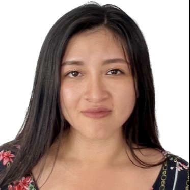 Liesel Quispichu Hancco