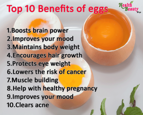 Top 10 Benefits of e Bt.

1.Boosts brain power
2.lmproves your

  

6.Lowers the risk of cancer
7.Muscle building
8.Help with healthy pregnancy

9.Improves your 4
10.Clears acne {
’