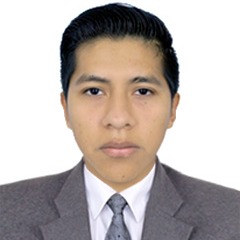 Luis Teofilo Esteban Espinoza