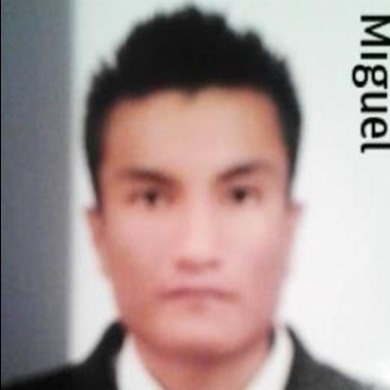 MIGUEL ANGEL QUILAPANTA CASTRO