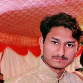 Syed M Ali Shah