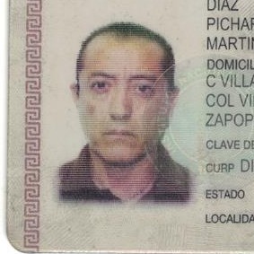 Martin de Jesús Diaz Pichardo