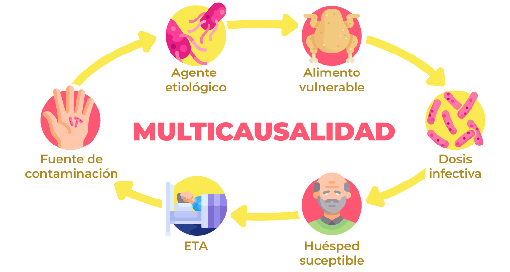 Agente Alimento
\[ etiologico vulnerable PNA
) MULTICAUSALIDAD M3
Fuente de Dosis
contaminacion infectiva
Jy 9)
ETA Huésped
suceptible