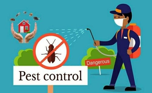 3 Hour Pest Control Services, in Ahmedabad,Gujarat, | ID: 20291136933 - A

Pest control