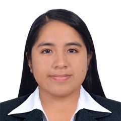 Sherly Daysi Carbajal Robles