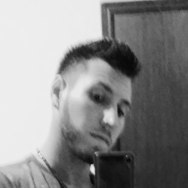 Laion Luppi